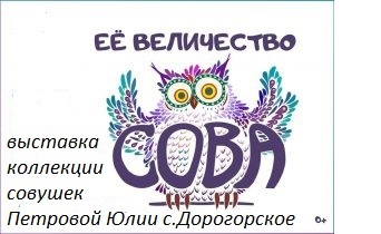 В Дорогорской сельской библиотеке открыта выставка коллекции Совушек «Её величество Сова». Сова - это хозяйка, бренд нашего села.<br />
Все эти совушки из «домашнего музея» инвалида 1 группы Юлии Петровой, она любезно предоставила их нам.<br />
