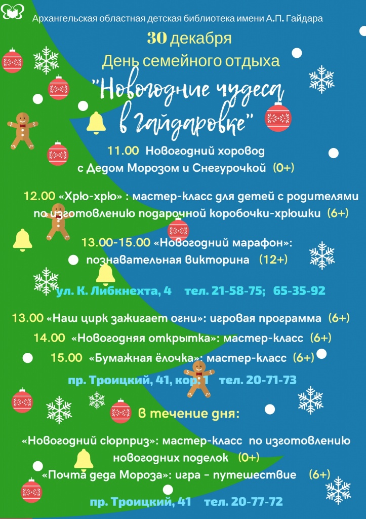 Новогодние чудеса в Гайдаровке.jpg