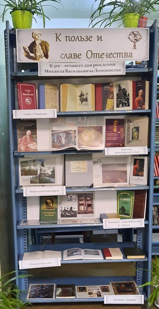 Книжно-иллюстративная выставка в Каменской ПБ.jpg