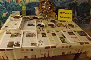 На площадке "Чаепитие с пользой" в Корниловской библиотеке