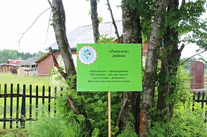 Экскурсия "По Фокинским тропинкам". У "Тонькиной" рябины