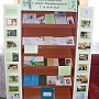 V Фокинский фестиваль «Счастлив тот, кто счастлив дома, на своей родной земле». Книжно-иллюстративная выставка «Песельница с крестьянского Севера» (Верхнетоемская центральная библиотека)