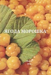 Ягода Морошка