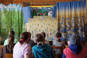 Библионочь в Тимошинской сельской библиотеке. Кукольный театр