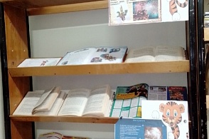 Книжная выставка Козьмогородская сельская библиотека