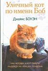 Уличный кот по имени Боб. Как человек и кот обрели надежду на улицах Лондона