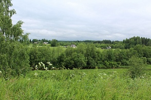 На родине Ольги Александровны Фокиной. Речка Содонга