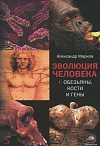 Эволюция человека